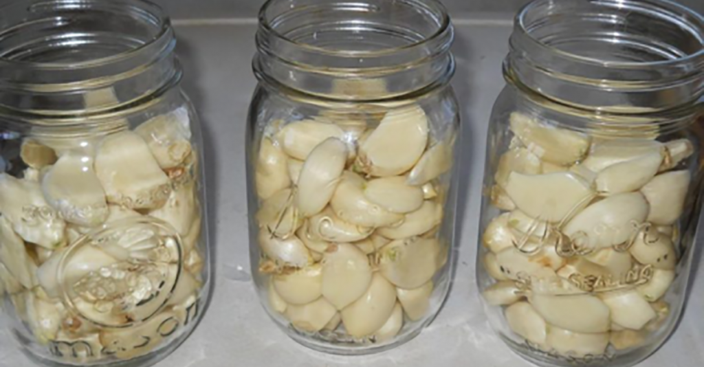 Aumenta Tu Inmunidad Aprendiendo A Conservar Ajo En Vinagre De Manzana