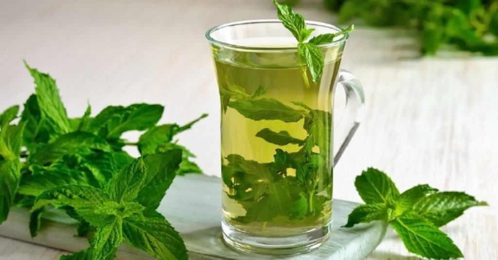 Conoce Las Múltiples Propiedades Y Usos